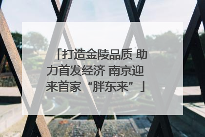 打造金陵品质 助力首发经济 南京迎来首家“胖东来”