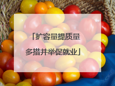 扩容量提质量 多措并举促就业