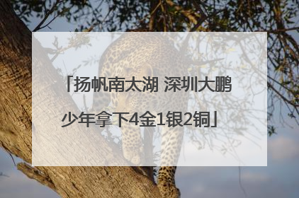 扬帆南太湖 深圳大鹏少年拿下4金1银2铜