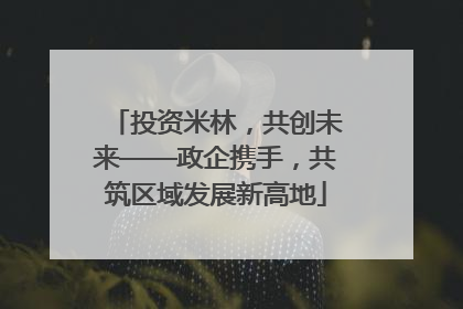 投资米林，共创未来——政企携手，共筑区域发展新高地