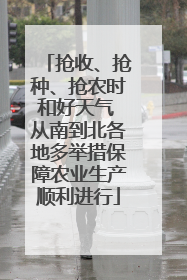 抢收、抢种、抢农时和好天气 从南到北各地多举措保障农业生产顺利进行