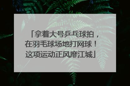 拿着大号乒乓球拍，在羽毛球场地打网球！这项运动正风靡江城