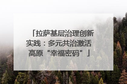拉萨基层治理创新实践：多元共治激活高原“幸福密码”