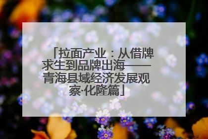 拉面产业：从借牌求生到品牌出海——青海县域经济发展观察·化隆篇