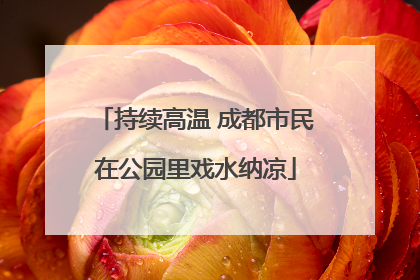持续高温 成都市民在公园里戏水纳凉