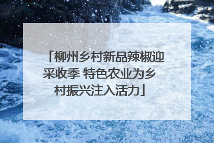 柳州乡村新品辣椒迎采收季 特色农业为乡村振兴注入活力