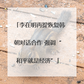 李在明再提恢复韩朝对话合作 强调“和平就是经济”