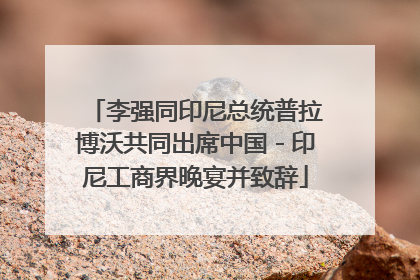 李强同印尼总统普拉博沃共同出席中国－印尼工商界晚宴并致辞