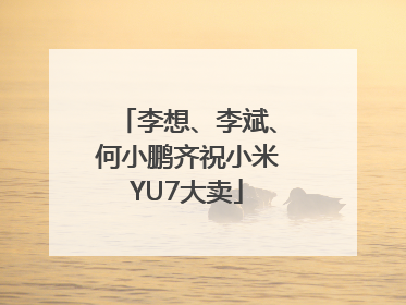 李想、李斌、何小鹏齐祝小米YU7大卖