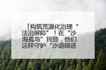 构筑荒漠化治理“法治屏障”！在“沙海孤岛”民勤，他们这样守护“沙退绿进”的生态奇迹