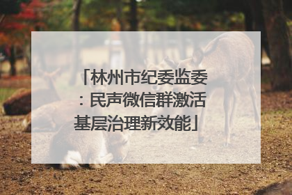 林州市纪委监委：民声微信群激活基层治理新效能