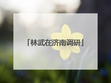 林武在济南调研