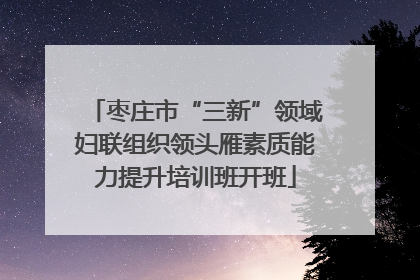 枣庄市“三新”领域妇联组织领头雁素质能力提升培训班开班