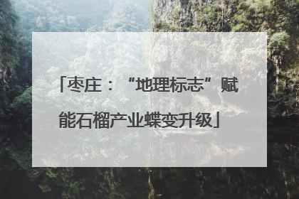 枣庄：“地理标志”赋能石榴产业蝶变升级