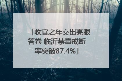 收官之年交出亮眼答卷 临沂禁毒戒断率突破87.4%