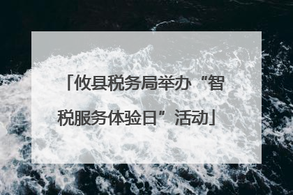 攸县税务局举办“智税服务体验日”活动