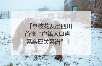 攀枝花发出四川首张“户籍人口直系亲属关系谱”