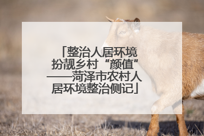 整治人居环境 扮靓乡村“颜值”——菏泽市农村人居环境整治侧记