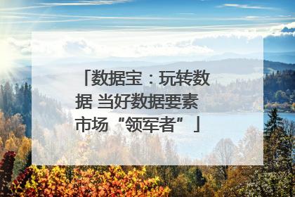 数据宝：玩转数据 当好数据要素市场“领军者”