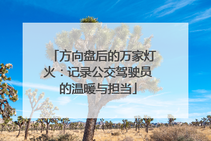 方向盘后的万家灯火：记录公交驾驶员的温暖与担当