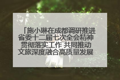 施小琳在成都调研推进省委十二届七次全会精神贯彻落实工作 共同推动文旅深度融合高质量发展 加快打造支柱产业民生产业幸福产业