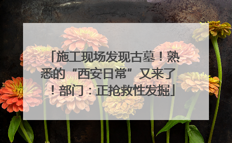 施工现场发现古墓！熟悉的“西安日常”又来了！部门：正抢救性发掘