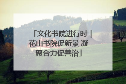 文化书院进行时｜花山书院促新景 凝聚合力促善治