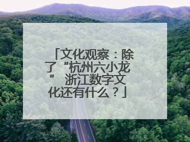 文化观察：除了“杭州六小龙” 浙江数字文化还有什么？