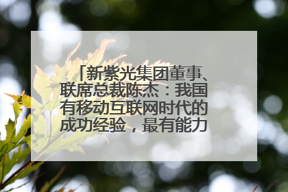 新紫光集团董事、联席总裁陈杰：我国有移动互联网时代的成功经验，最有能力做好AI应用创新
