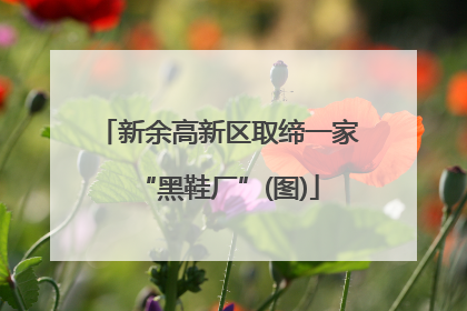 新余高新区取缔一家“黑鞋厂”(图)