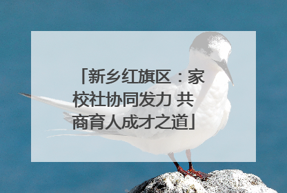 新乡红旗区：家校社协同发力 共商育人成才之道