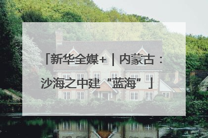 新华全媒+｜内蒙古：沙海之中建“蓝海”