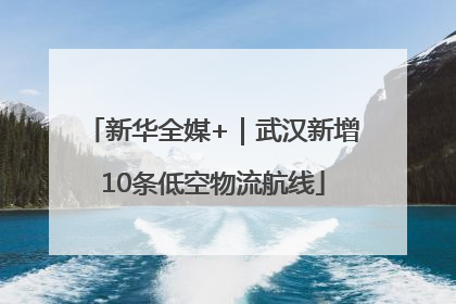 新华全媒+｜武汉新增10条低空物流航线