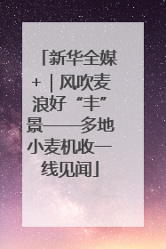新华全媒+｜风吹麦浪好“丰”景——多地小麦机收一线见闻