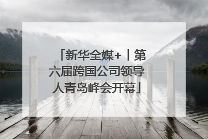 新华全媒+丨第六届跨国公司领导人青岛峰会开幕