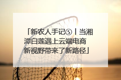 新农人手记⑤丨当湘潭白莲遇上云端电商 新视野带来了新路径