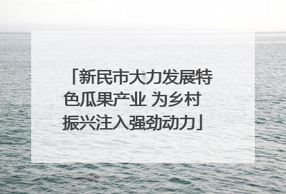 新民市大力发展特色瓜果产业 为乡村振兴注入强劲动力