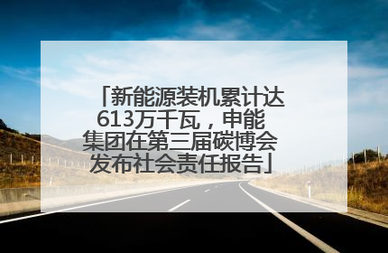 新能源装机累计达613万千瓦，申能集团在第三届碳博会发布社会责任报告