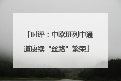 时评：中欧班列中通道赓续“丝路”繁荣