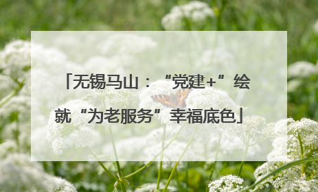 无锡马山：“党建+”绘就“为老服务”幸福底色