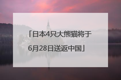 日本4只大熊猫将于6月28日送返中国