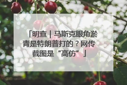 明查｜马斯克眼角淤青是特朗普打的？网传截图是“高仿”