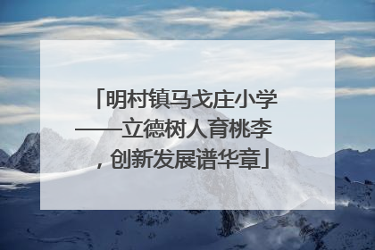 明村镇马戈庄小学——立德树人育桃李，创新发展谱华章