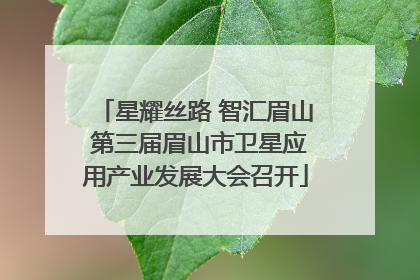 星耀丝路 智汇眉山 第三届眉山市卫星应用产业发展大会召开