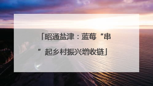 昭通盐津：蓝莓“串”起乡村振兴增收链
