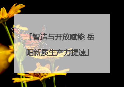 智造与开放赋能 岳阳新质生产力提速