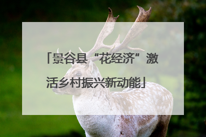 景谷县“花经济”激活乡村振兴新动能