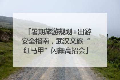 暑期旅游规划+出游安全指南，武汉文旅“红马甲”闪耀高招会
