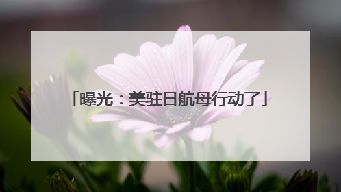 曝光：美驻日航母行动了