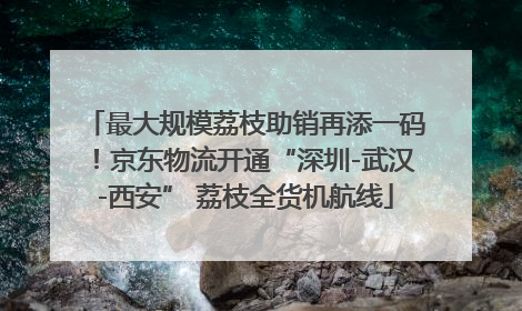 最大规模荔枝助销再添一码！京东物流开通“深圳-武汉-西安” 荔枝全货机航线
